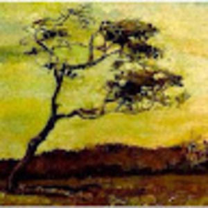 Meet your Posher, Aimee